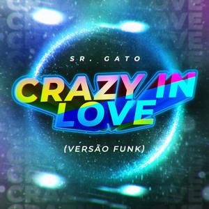 Sr. Gato - Crazy In Love (Versão Funk)