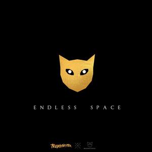 endless space