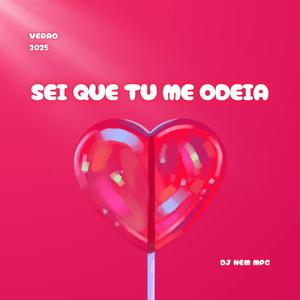MTG SEI QUE TU ME ODEIA (DJ NEM MPC)