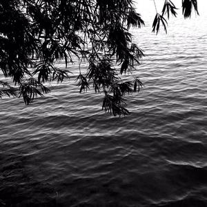 黑马王子前传：马思唯vs中文说唱