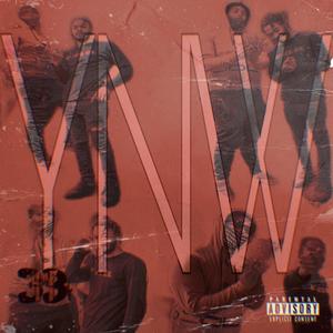 Y.N.W.(Young Niggas Working) (Explicit)