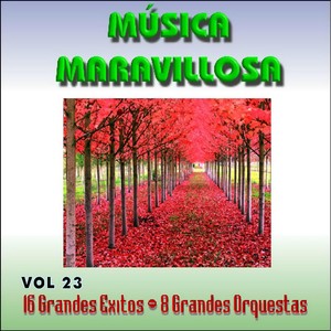 Música Maravillosa Vol. 23 16 Grandes Exitos 8 Grandes Orquestas