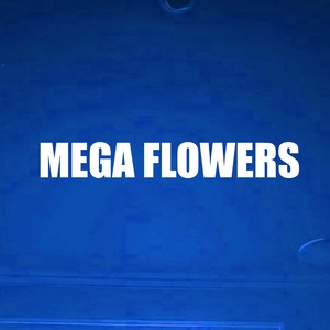 MEGA FLOWERS (Explicit)