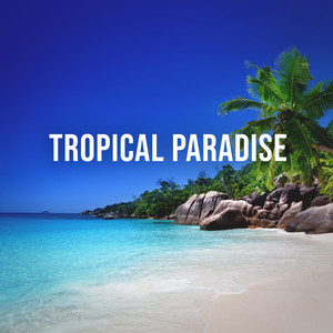 Tropical Paradise: Soothing Sounds of a Caribbean Beach for Stressed City Life