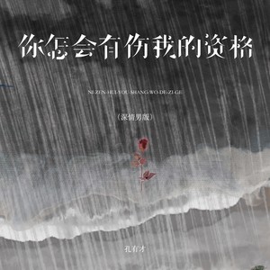 你怎会有伤我的资格 (深情男版)