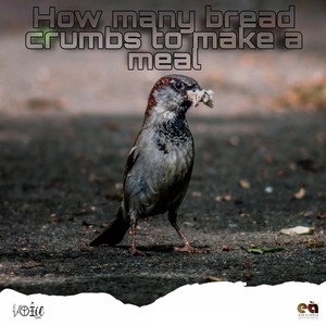 how many breadcrumbs to make a meal