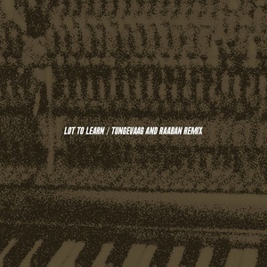 Lot to Learn (Tungevaag & Raaban Remix|Explicit)