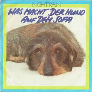 Was Macht Der Hund Auf Dem Sofa