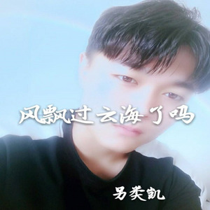风飘过去海了吗 (DJ版)