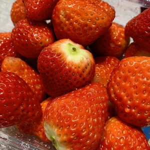 Czarina-i miss you (774 remix)