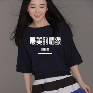 魏新雨-最美的情缘 (杨铭权 remix)