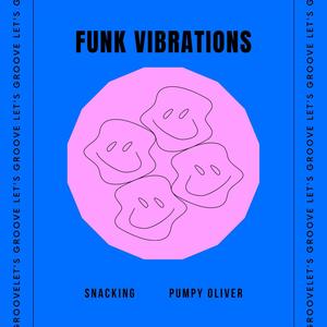 Funk Vibrations (Extended Mix)