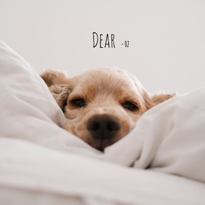 Dear