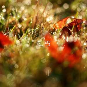 你的选择 (DJ版)