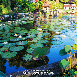 AUM Lotus Dawn
