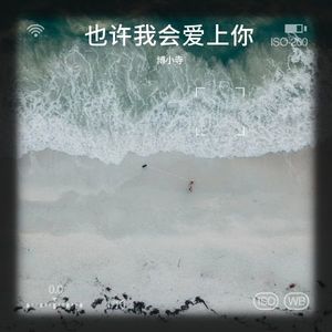 也许我会爱上你