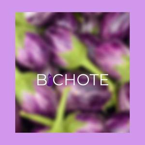 Bichote (feat. Jok3r610 & Aliowly)