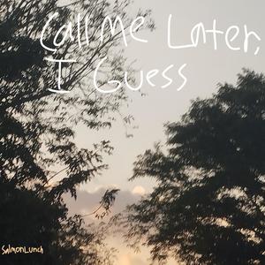 Call Me Later, I Guess