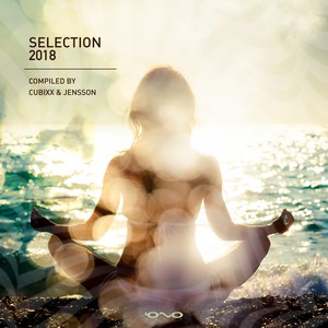 Selection 2018 (Compiled by Cubixx & Jensson)