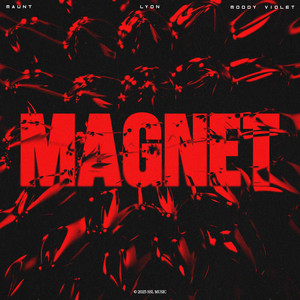 Magnet