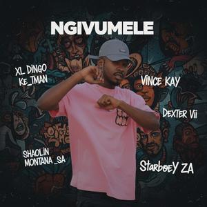 Ngivumele (feat. XL Dingo, VINCE KAY, Shaolin Montana _SA & StarboeY ZA)