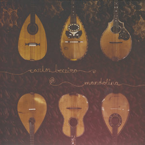 Conference Of The Birds