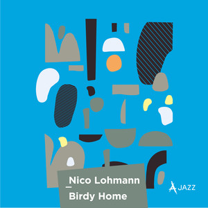 Birdy Home