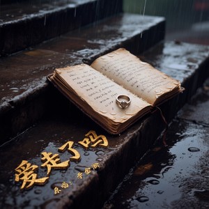 李金淞 - 离开我你是遗憾还是解脱