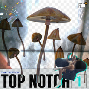 Top Notch (Explicit)