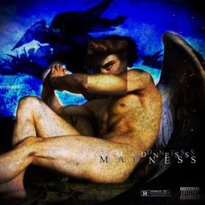 Madness (Explicit)