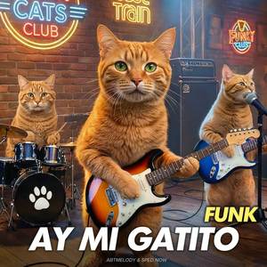 Ay Mi Gatito (Funk)