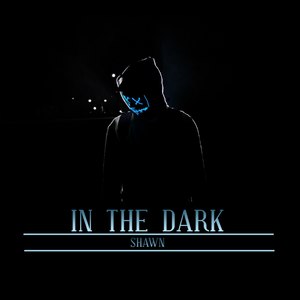 In the Dark