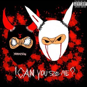 CǍN YØU SEE MĚ?! (feat. LIL_INSAN3) [Explicit]