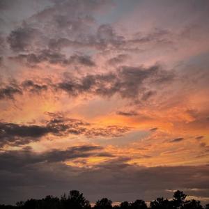 Cellardoor (feat. keneki)