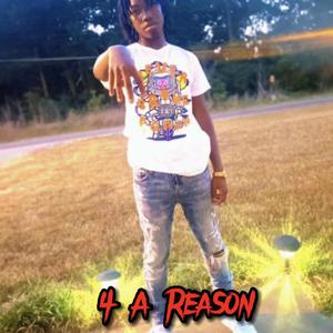 4 A Reason (Explicit)