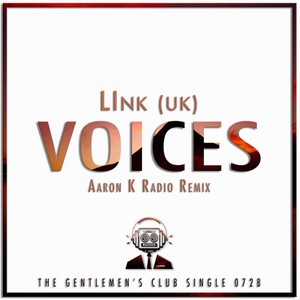 Voices (Aaron K Radio Remix)