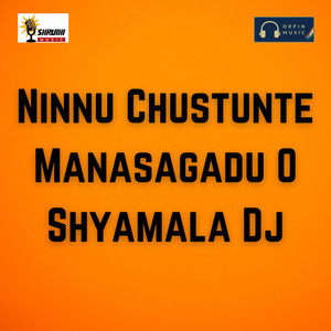 Ninnu Chustunte Manasagadu O Shyamala Dj