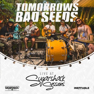 Tomorrow's Bad Seeds (Live at Sugarshack Sessions)