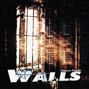 Walls(feat. Gal Hornstein, Ambrose Newton, Tarjei Skarlund, Brian Henry & Silver Lucidty) (Special Version)