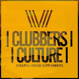 Joy u0026 Pain (Underdeep Inc. Remix)