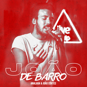 João De Barro (Live In Vip)