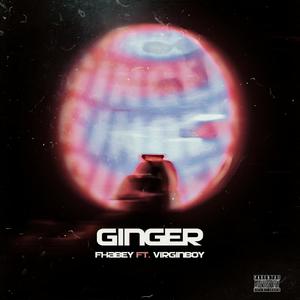 Ginger (feat. Virginboy) (Explicit)