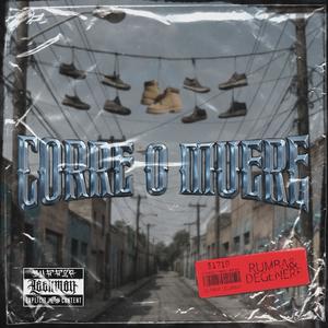 rumba y degenere (feat. poya x nelson trip) (Explicit)