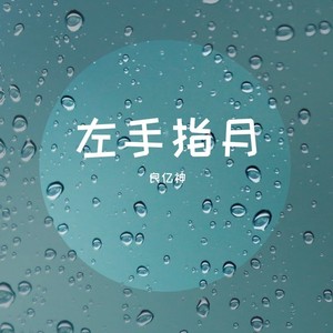 左手指月 (Live)