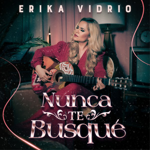 Nunca Te Busqué