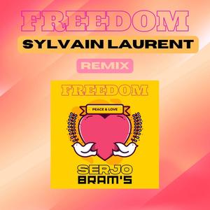 FREEDOM (SYLVAIN LAURENT Remix)