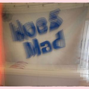 Hoes (feat. Taliban Ty & Big Tii) (Explicit)