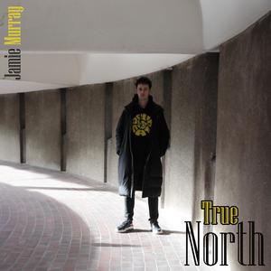True North (feat. David Binney, David Preston, Paul Stacey & Laurence Cottle)