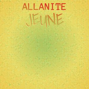 Allanite Jeune