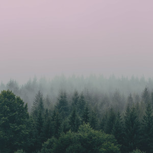 I'm Only a Fool for You (Explicit)